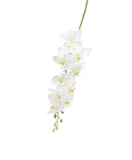 Weiße Orchidee 1,50 m *12 pcs